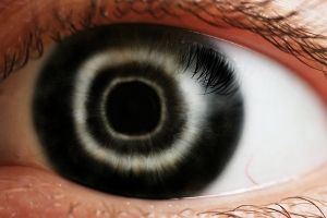 eye]